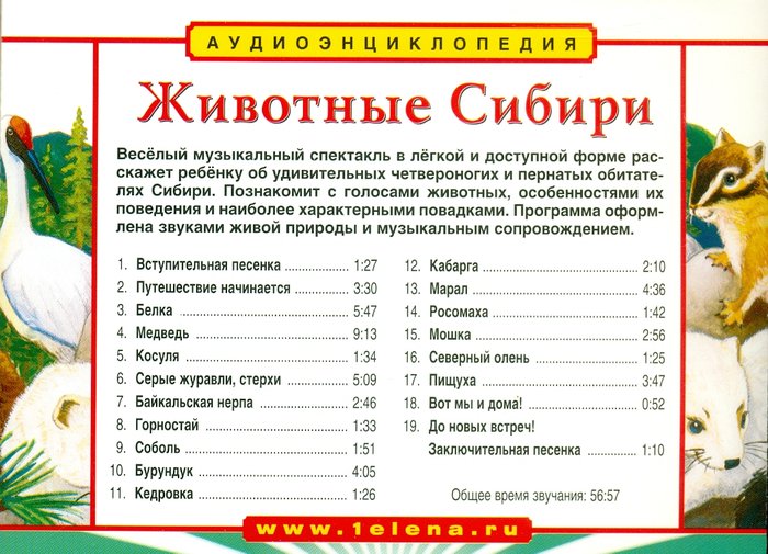 Животные Сибири ( Познавательная программа для детей ) Аудиоэнциклопедия CD
