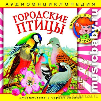 Городские птицы ( Познавательная программа для детей ): Аудиоэнциклопедия CD