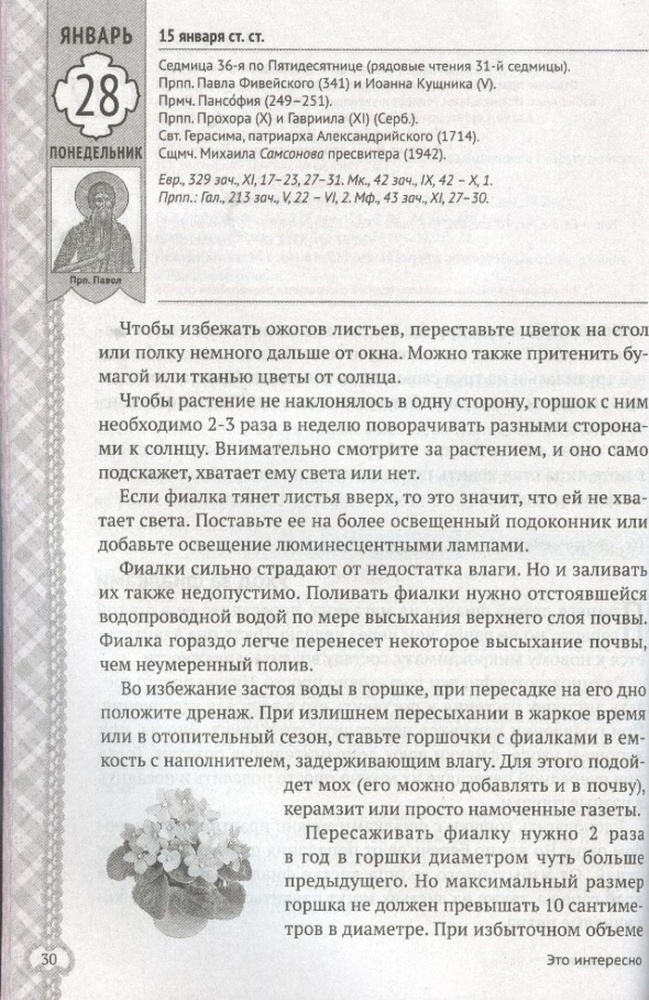 Светлица. Православный женский календарь на 2019 год