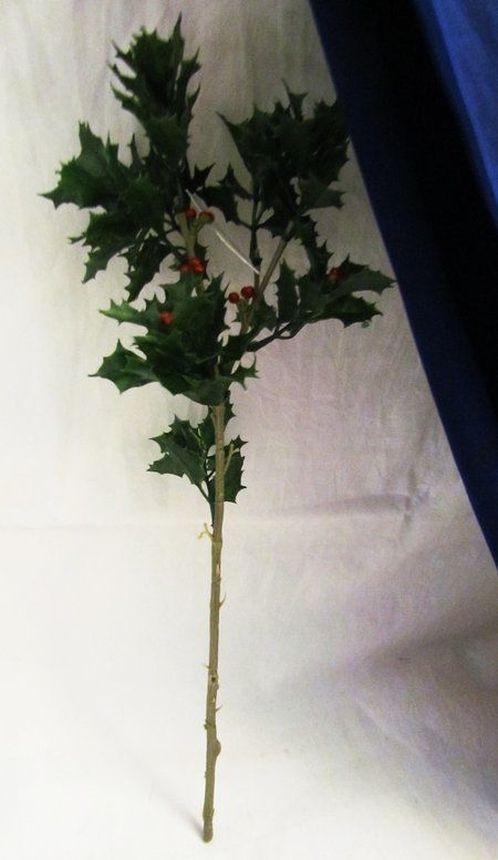 Ветка Паддуб с ягодами 40 см