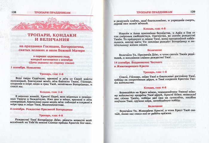 Православный молитвослов и Псалтирь (кожа-винил переплет, подарочное издание)